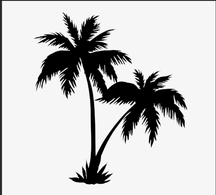 Palm Tree Partnerships